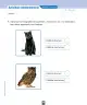 Miniatura página 111 de Ciencias Naturales – Primero Básico | Texto del Estudiante (MINEDUC) – Descargar PDF · 2024
