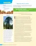 Miniatura página 137 de Lenguaje y Comunicación – Sexto Básico | Texto del Estudiante MINEDUC – Descargar PDF · 2024
