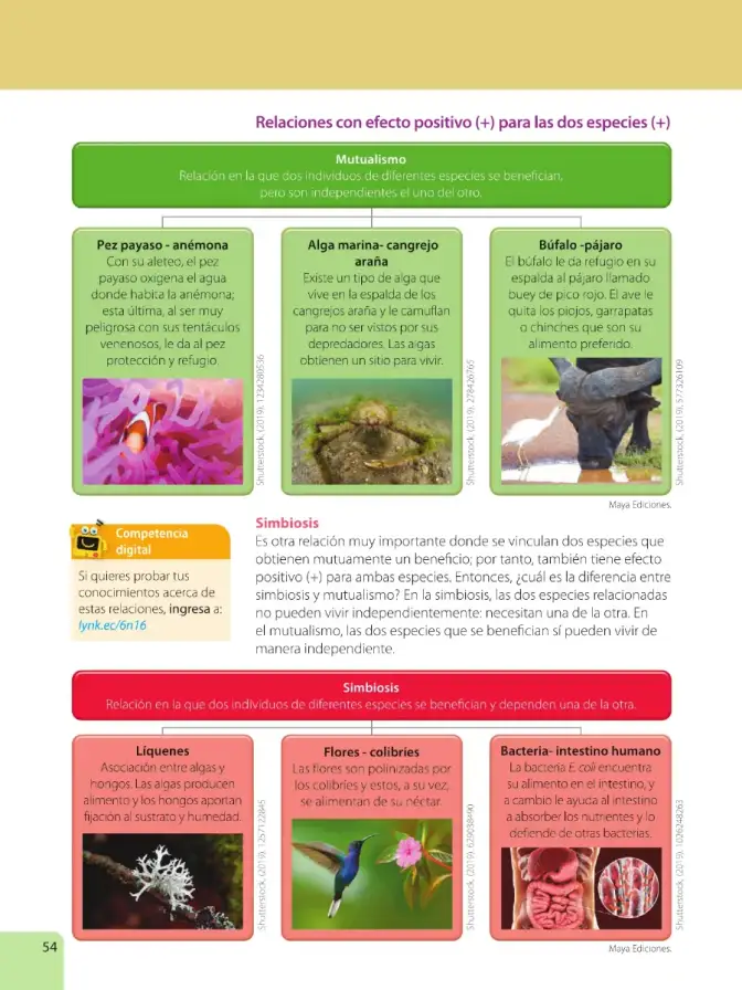 Página 56 de Ciencias Naturales 6° · Egb 6 Ciencias Naturales 2025 · 2025