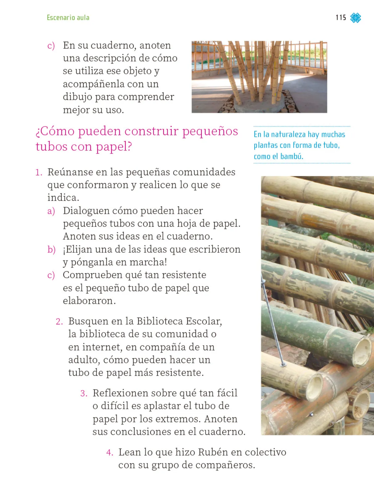 Miniatura página 116 de Proyectos de Aula.   Libro de Educación Primaria Grado 1°  Ciclo Escolar 2025 - 2026