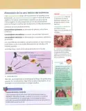 Miniatura página 20 de Ciencias Naturales 7° · 2025
