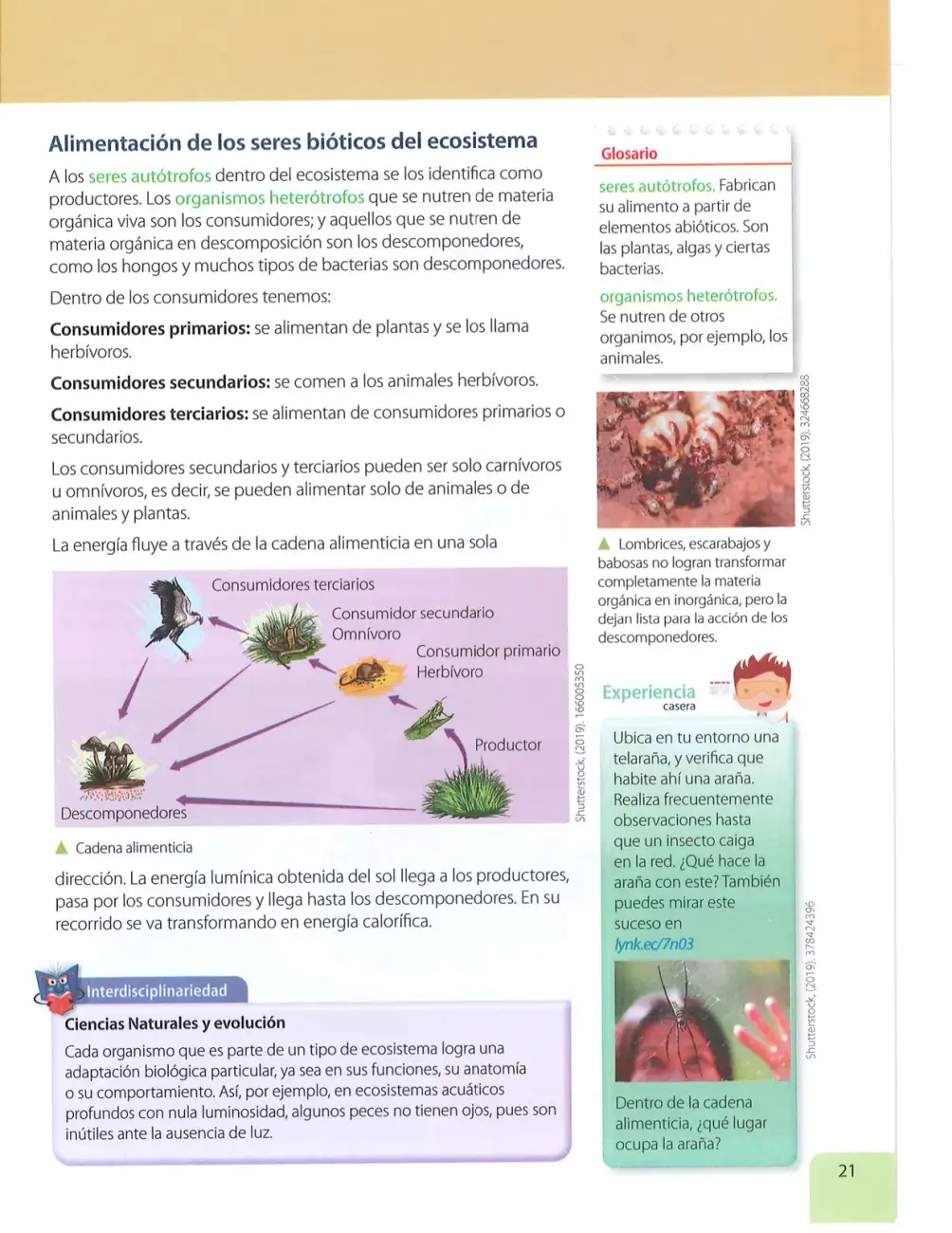 Página 20