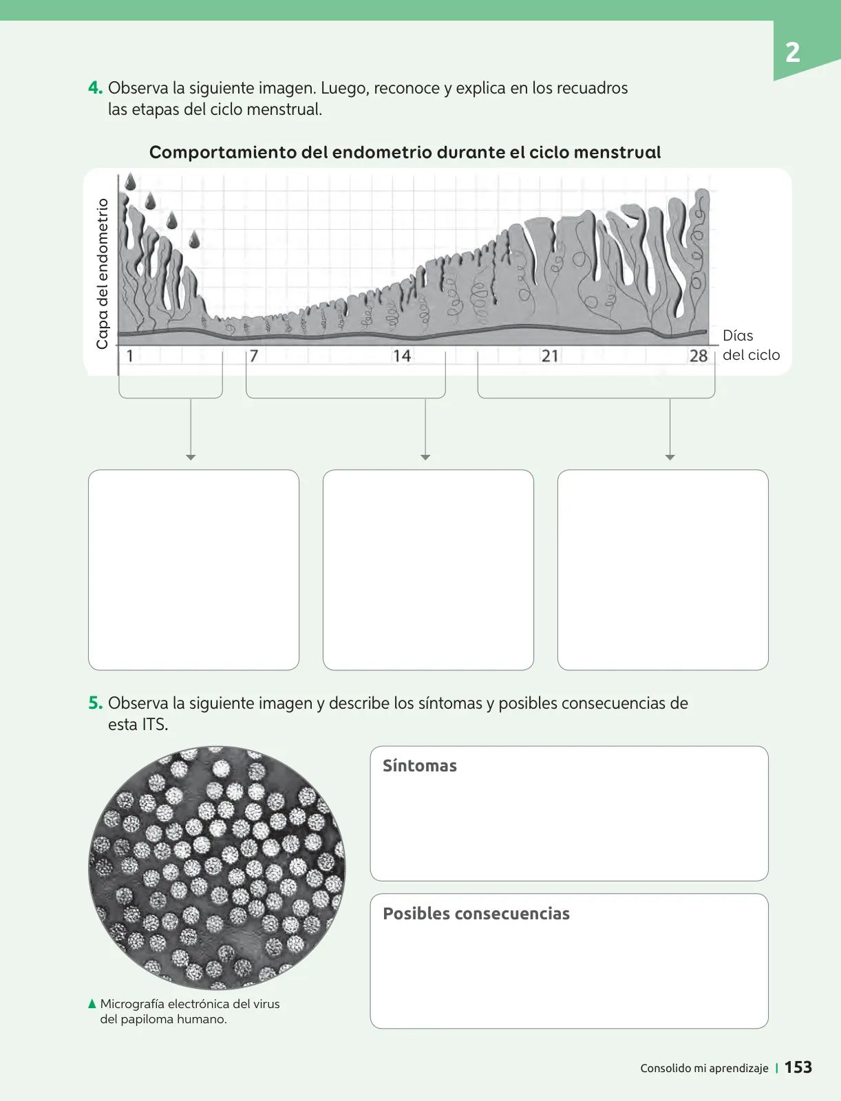 Miniatura página 154 de Ciencias Naturales – Séptimo Básico | Texto del Estudiante MINEDUC – Descargar PDF · 2024