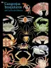 Miniatura página 153 de Colección Ximhai. Múltiples lenguajes.   Libro de Educación Secundaria Grado 1°  Ciclo Escolar 2025 - 2026