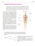 Miniatura página 324 de Colección Ximhai. Saberes y pensamiento científico.   Libro de Educación Secundaria Grado 1°  Ciclo Escolar 2025 - 2026