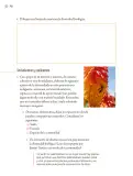 Miniatura página 143 de Proyectos Comunitarios.   Libro de Educación Primaria Grado 5°  Ciclo Escolar 2025 - 2026