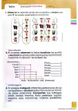 Miniatura página 13 de Matematica 3° · Egb 3 Matematica 2025 · 2025