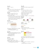 Miniatura página 245 de Sumo Primero – Quinto Básico | Texto del Estudiante MINEDUC – Descargar PDF · 2024