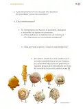Miniatura página 42 de Proyectos Comunitarios.   Libro de Educación Primaria Grado 4°  Ciclo Escolar 2025 - 2026