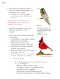 Miniatura página 153 de Proyectos Comunitarios.   Libro de Educación Primaria Grado 5°  Ciclo Escolar 2025 - 2026