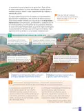 Miniatura página 147 de Historia, Geografía y Ciencias Sociales – Séptimo Básico | Texto del Estudiante MINEDUC – Descargar PDF · 2024