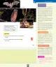 Miniatura página 86 de Ciencias Naturales – Primero Básico | Texto del Estudiante (MINEDUC) – Descargar PDF · 2024