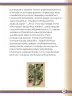 Miniatura página 147 de Willakuykuna maytu - Chanka Literatura 2 - 2° Secundaria - Quechua chanka · 2023