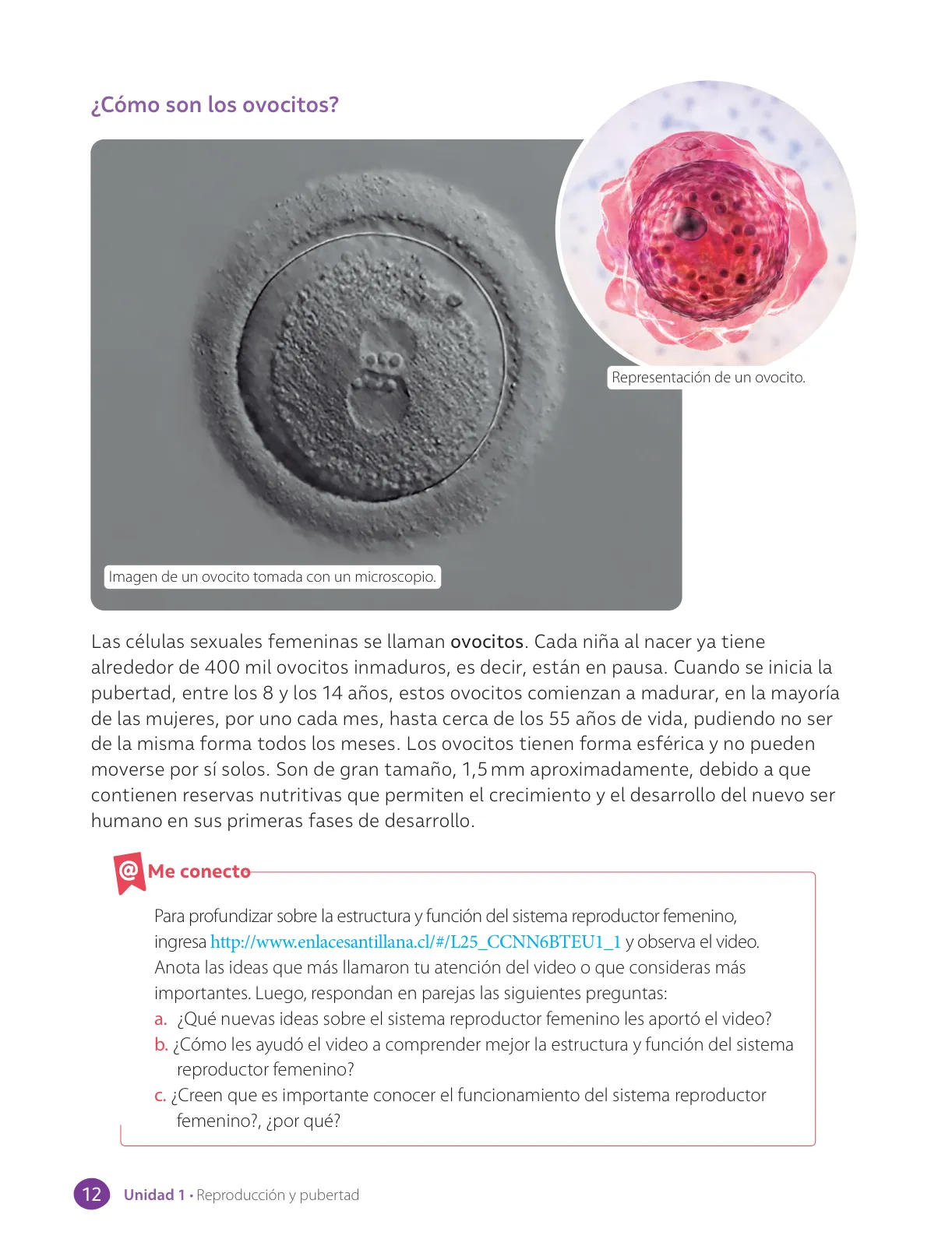 Miniatura página 14 de Libro de Ciencias Naturales – Quinto Básico | Texto del Estudiante MINEDUC – Descargar PDF · 2024