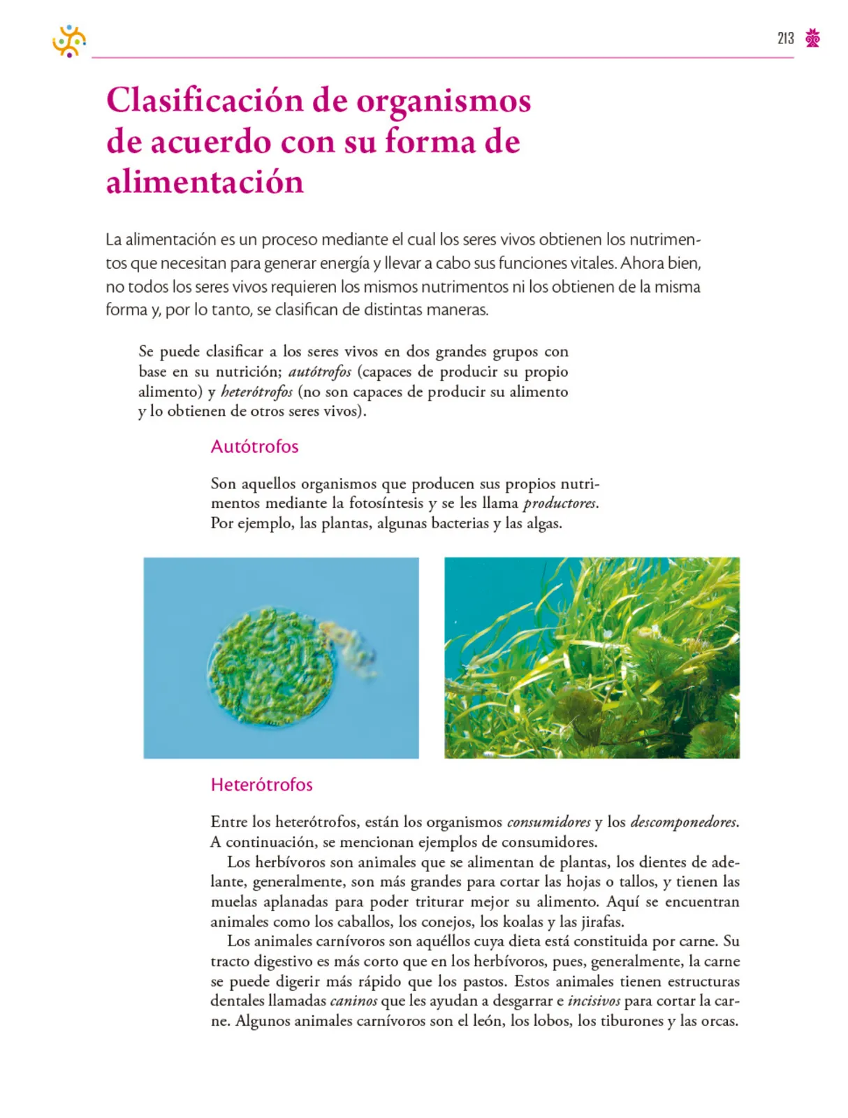 Miniatura página 214 de Colección Ximhai. Saberes y pensamiento científico.   Libro de Educación Secundaria Grado 1°  Ciclo Escolar 2025 - 2026