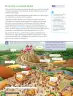Miniatura página 102 de Historia, Geografía y Ciencias Sociales – Séptimo Básico | Texto del Estudiante MINEDUC – Descargar PDF · 2024