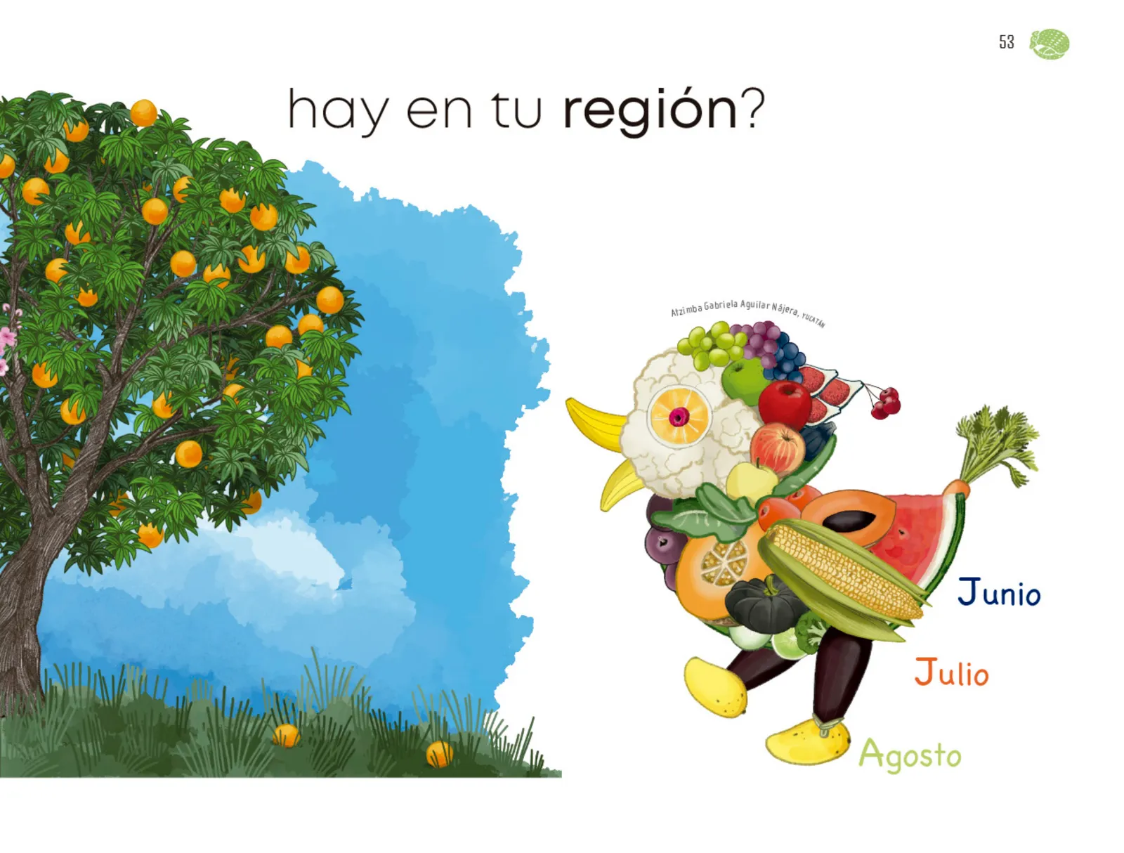 Miniatura página 54 de Múltiples lenguajes.   Libro de Educación Preescolar Grado 1°  Ciclo Escolar 2025 - 2026