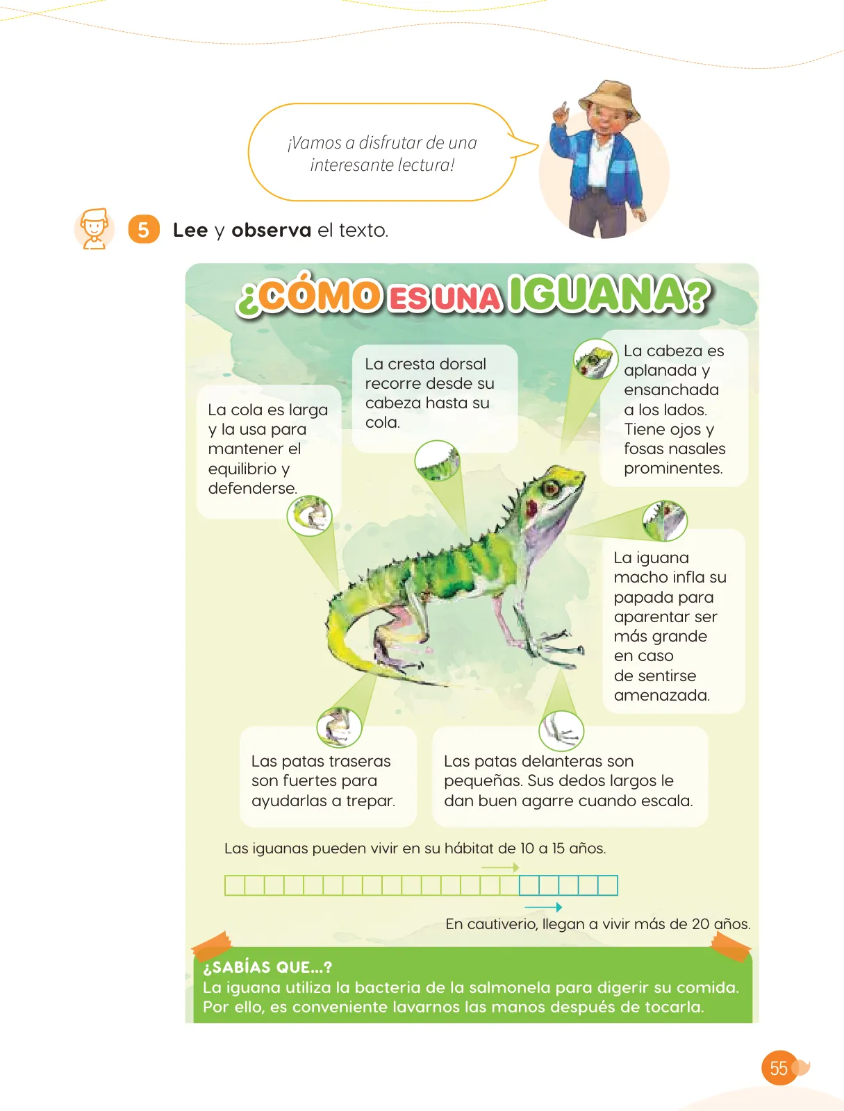 Página 57 de Cuadernillo de Comunicación 3. Tercer grado de Primaria · 2024