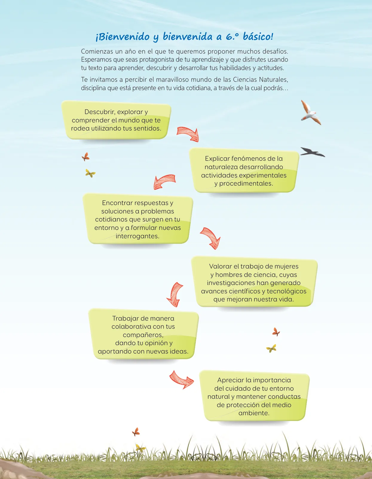Página 26 de Libro de Ciencias Naturales – Quinto Básico | Texto del Estudiante MINEDUC – Descargar PDF · 2024