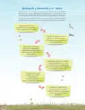 Miniatura página 26 de Libro de Ciencias Naturales – Quinto Básico | Texto del Estudiante MINEDUC – Descargar PDF · 2024