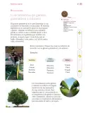 Miniatura página 28 de Nuestros saberes: Libro para alumnos, maestros y familia.   Libro de Educación Primaria Grado 4°  Ciclo Escolar 2025 - 2026