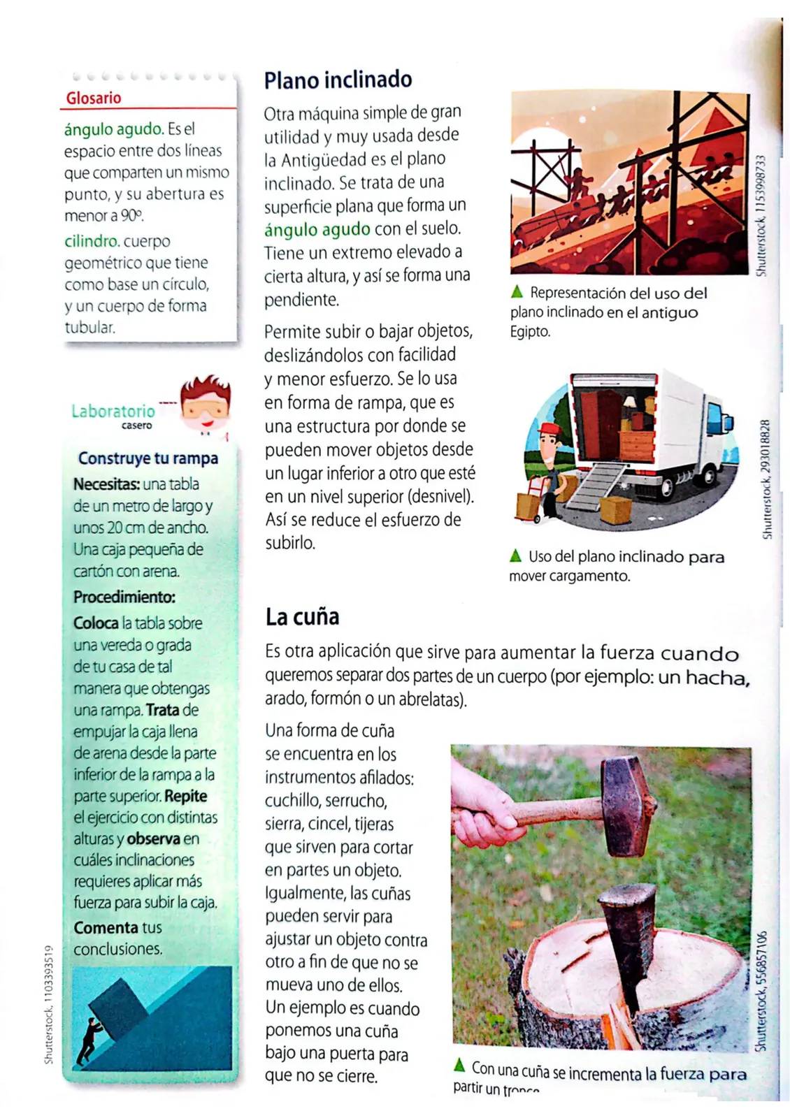 Miniatura página 139 de Ciencias Naturales · 4 EGB · 2025