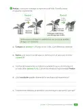 Miniatura página 47 de Ciencias Naturales – Tercero Básico | Texto del Estudiante MINEDUC – Descargar PDF · 2024