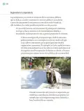 Miniatura página 229 de Proyectos Comunitarios.   Libro de Educación Primaria Grado 5°  Ciclo Escolar 2025 - 2026