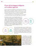 Miniatura página 147 de Colección Ximhai. Lenguajes.   Libro de Educación Secundaria Grado 1°  Ciclo Escolar 2025 - 2026