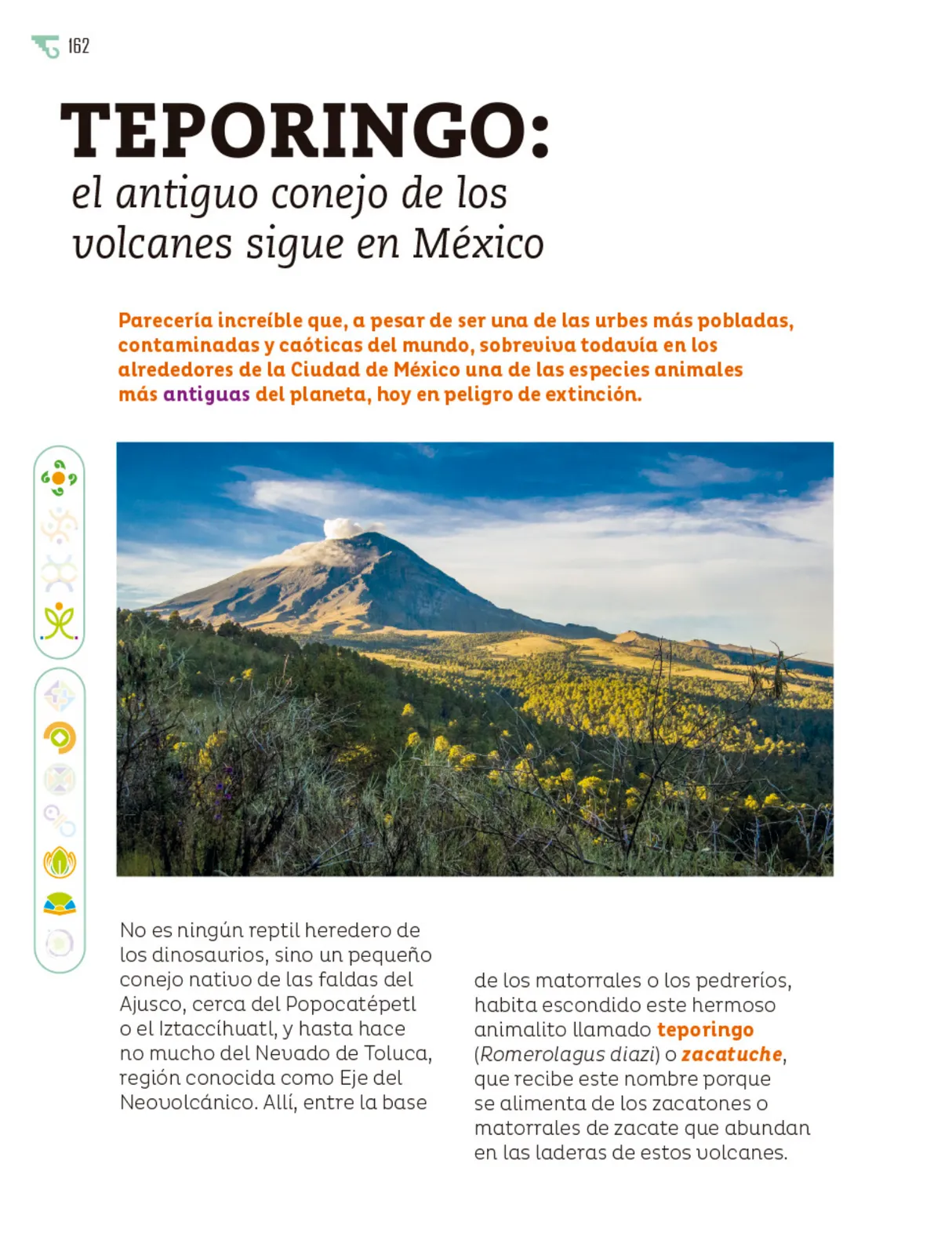 Página 163 de Múltiples lenguajes. Libro de Educación Primaria Grado 6° Ciclo Escolar 2025 - 2026