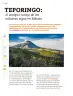 Miniatura página 163 de Múltiples lenguajes.   Libro de Educación Primaria Grado 6°  Ciclo Escolar 2025 - 2026