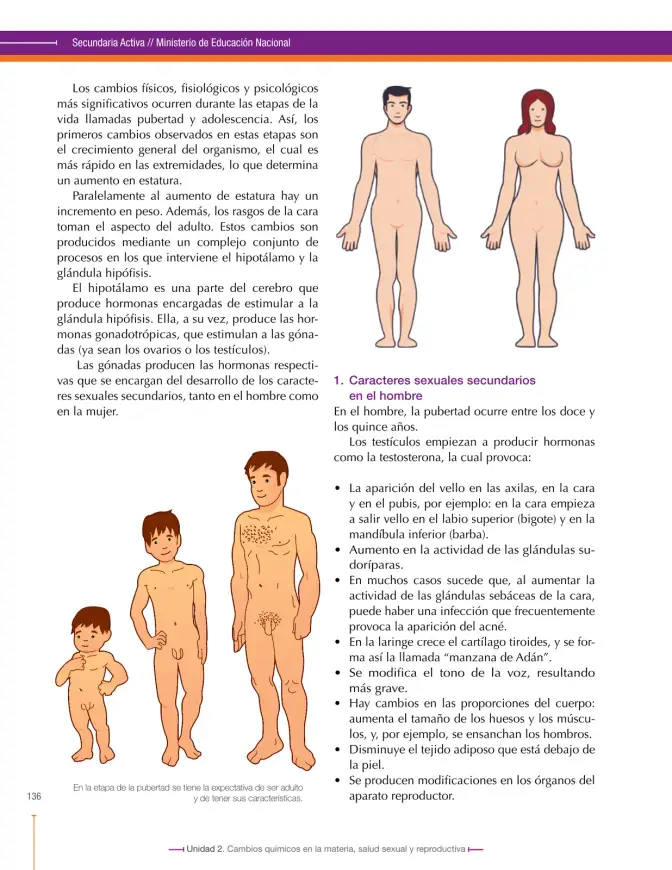 Página 136 de Ciencias Naturales 8° · Secundaria Activa