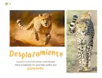 Pág 33