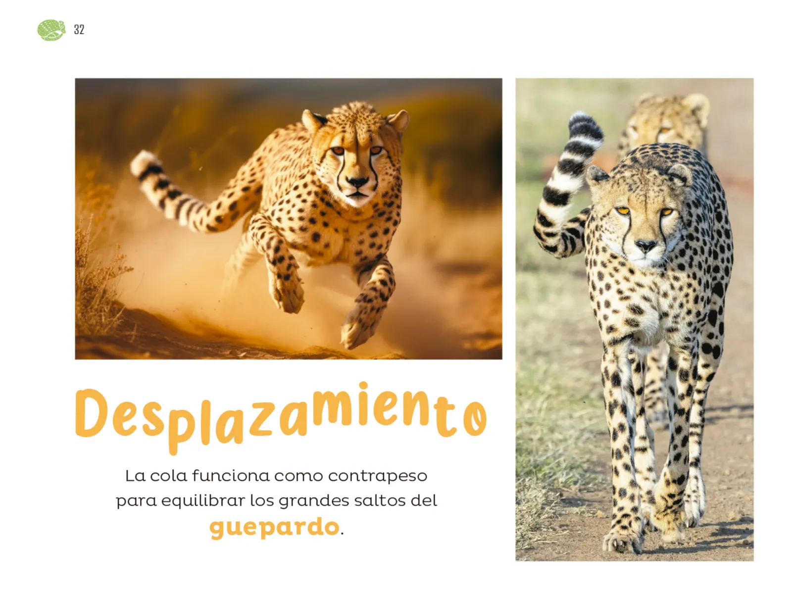 Miniatura página 33 de Múltiples lenguajes.   Libro de Educación Preescolar Grado 1°  Ciclo Escolar 2025 - 2026
