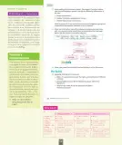 Miniatura página 101 de Inglés – Octavo Básico | Student’s Book MINEDUC – Descargar PDF · 2024
