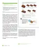 Miniatura página 30 de Sumo Primero – Cuarto Básico | Texto del Estudiante MINEDUC – Descargar PDF · 2024