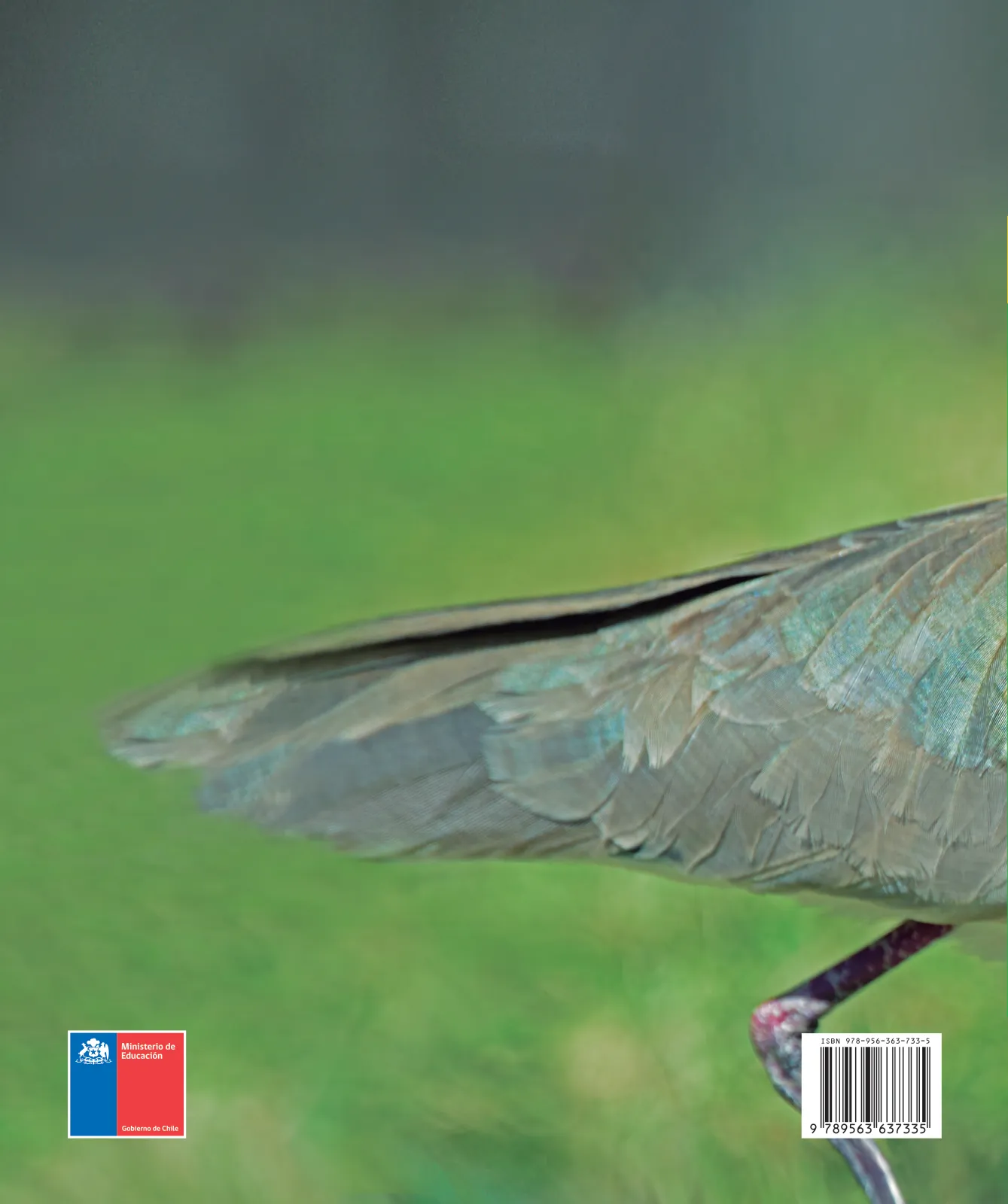 Miniatura página 194 de Ciencias Naturales – Primero Básico | Texto del Estudiante (MINEDUC) – Descargar PDF · 2024