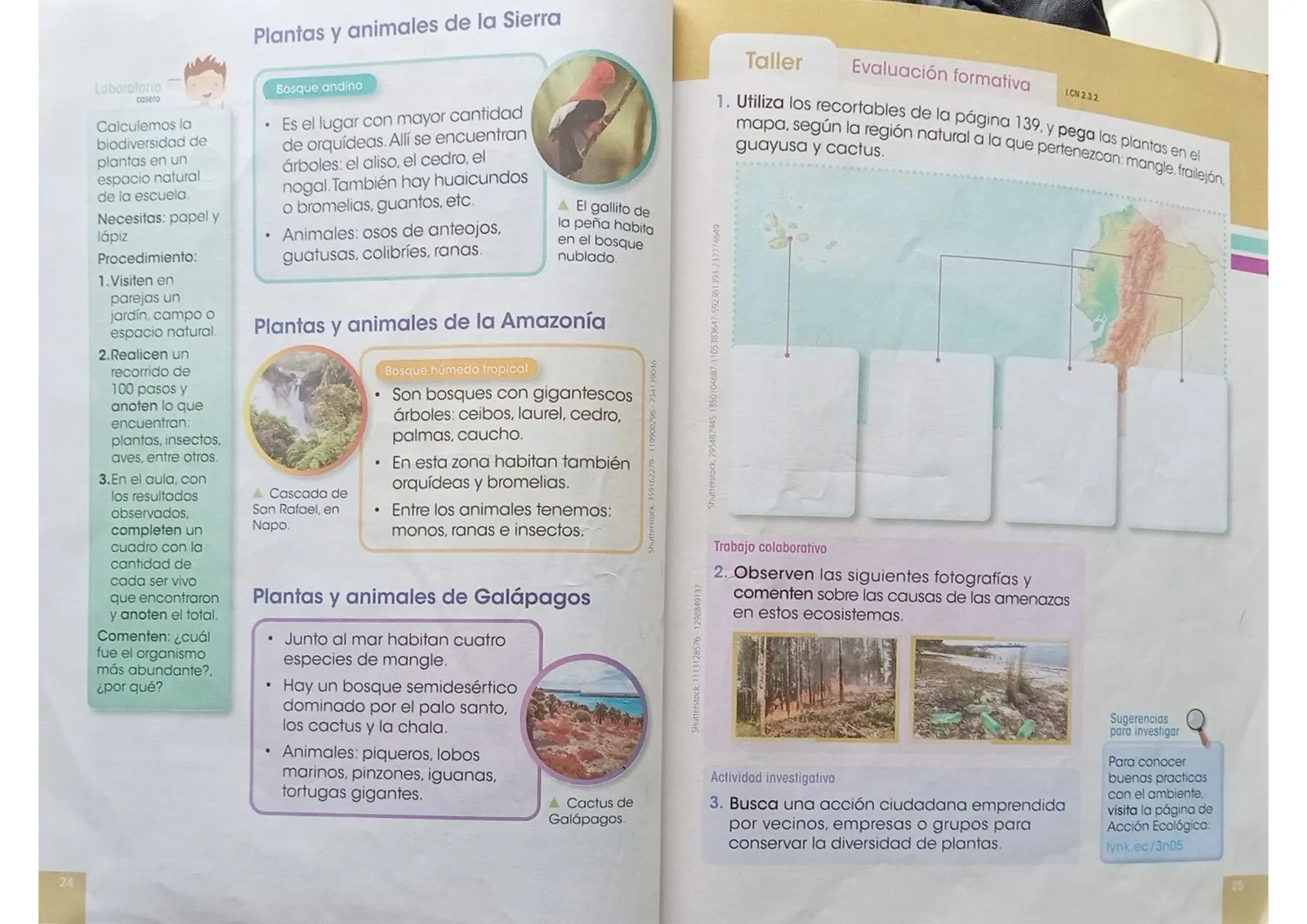 Página 11 de Ciencias Naturales · 3 EGB · 2024