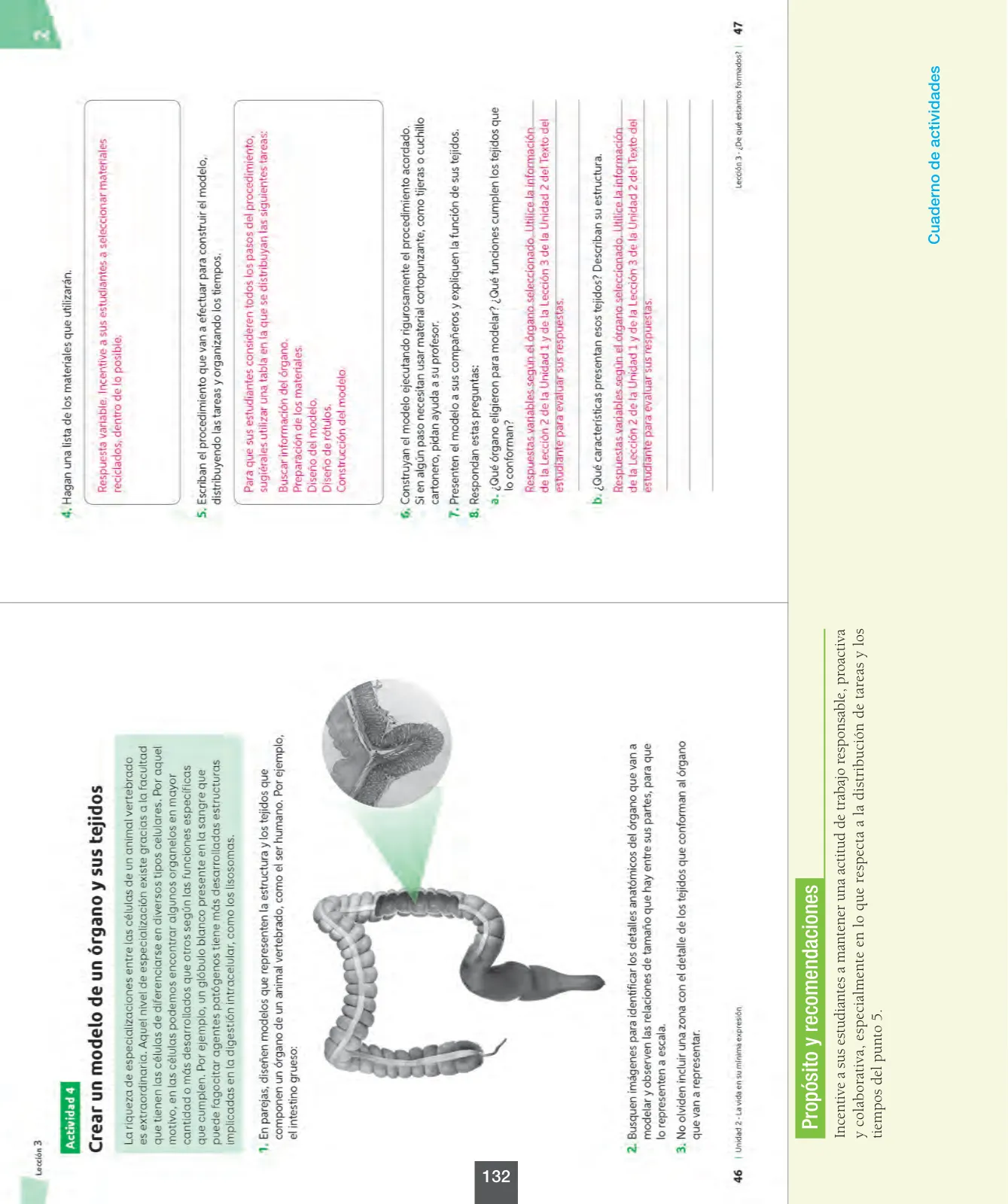 Página 133 de Ciencias Naturales – Octavo Básico | Texto del Estudiante MINEDUC – Descargar PDF · 2024