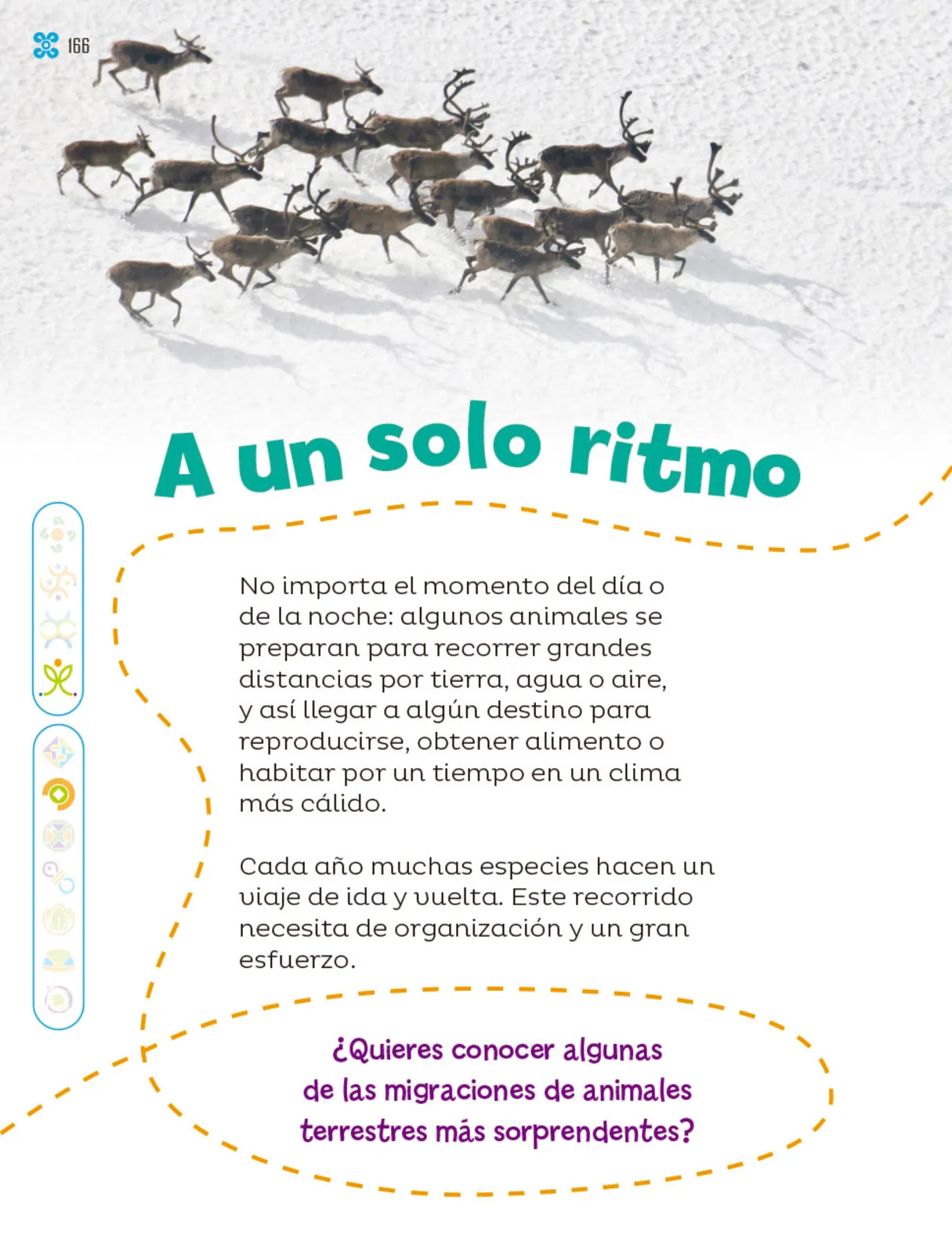 Miniatura página 167 de Múltiples lenguajes.   Libro de Educación Primaria Grado 1°  Ciclo Escolar 2025 - 2026