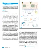 Miniatura página 42 de Sumo Primero – Quinto Básico | Texto del Estudiante MINEDUC – Descargar PDF · 2024