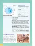 Miniatura página 13 de Ciencias Naturales 9° · 2025