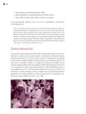 Miniatura página 93 de Un libro sin recetas para la maestra y el maestro. Fase 6.   Libro de Educación Telesecundaria Grado 1°, 2°, 3°  Ciclo Escolar 2025 - 2026