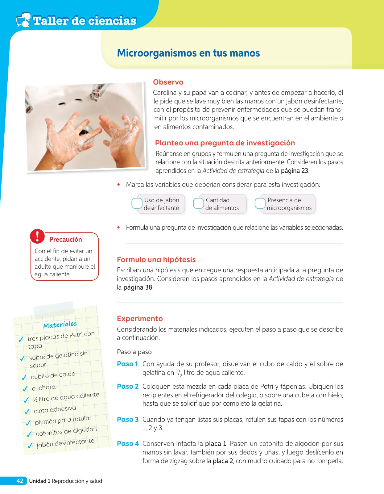 Miniatura página 119 de Libro de Ciencias Naturales – Quinto Básico | Texto del Estudiante MINEDUC – Descargar PDF · 2024