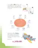 Miniatura página 4 de Ciencias Naturales 2° · Cartilla 03