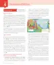 Miniatura página 36 de Lenguaje y Comunicación – Cuarto Básico | Texto del Estudiante MINEDUC – Descargar PDF · 2024