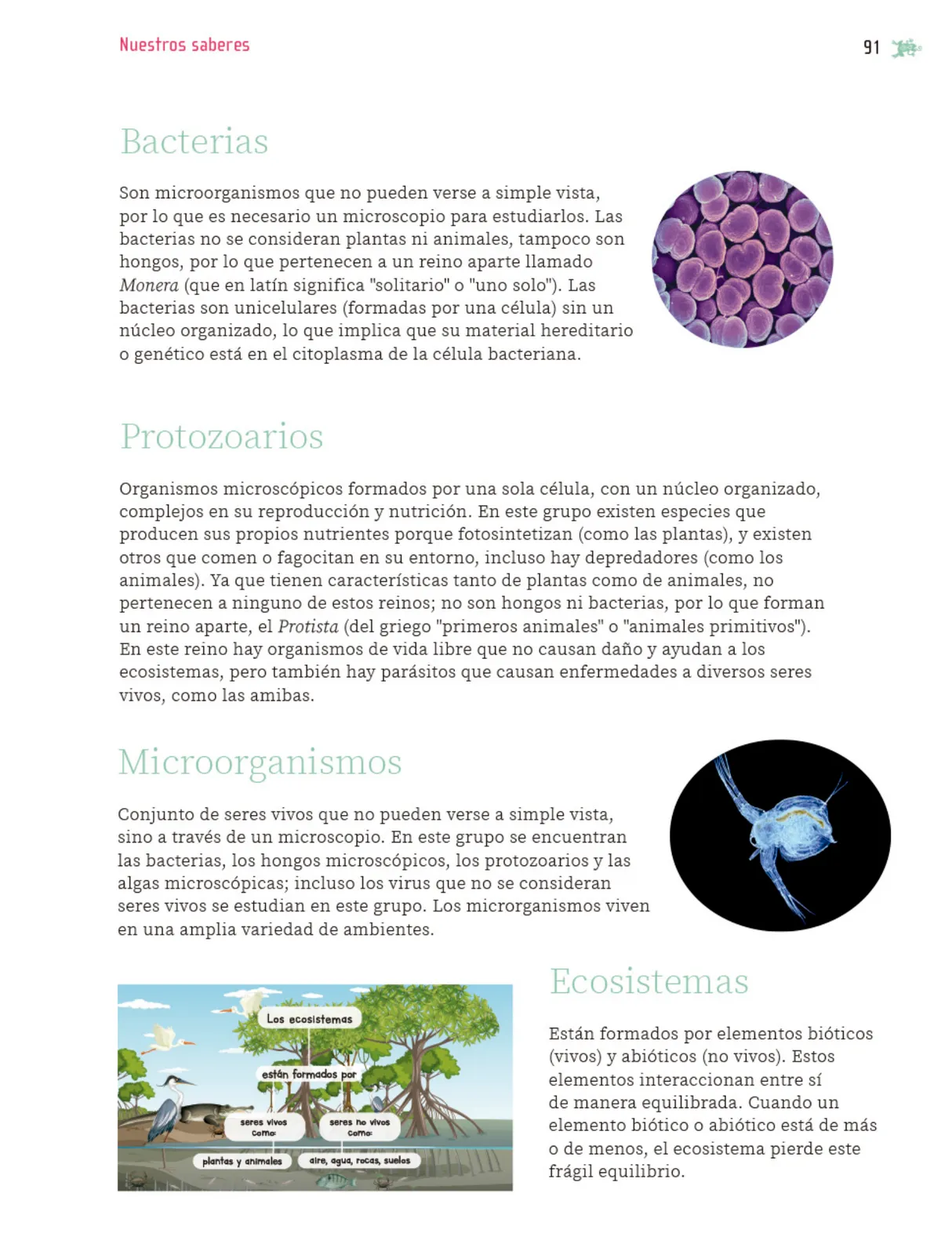Miniatura página 92 de Nuestros saberes: Libro para alumnos, maestros y familia.   Libro de Educación Primaria Grado 5°  Ciclo Escolar 2025 - 2026