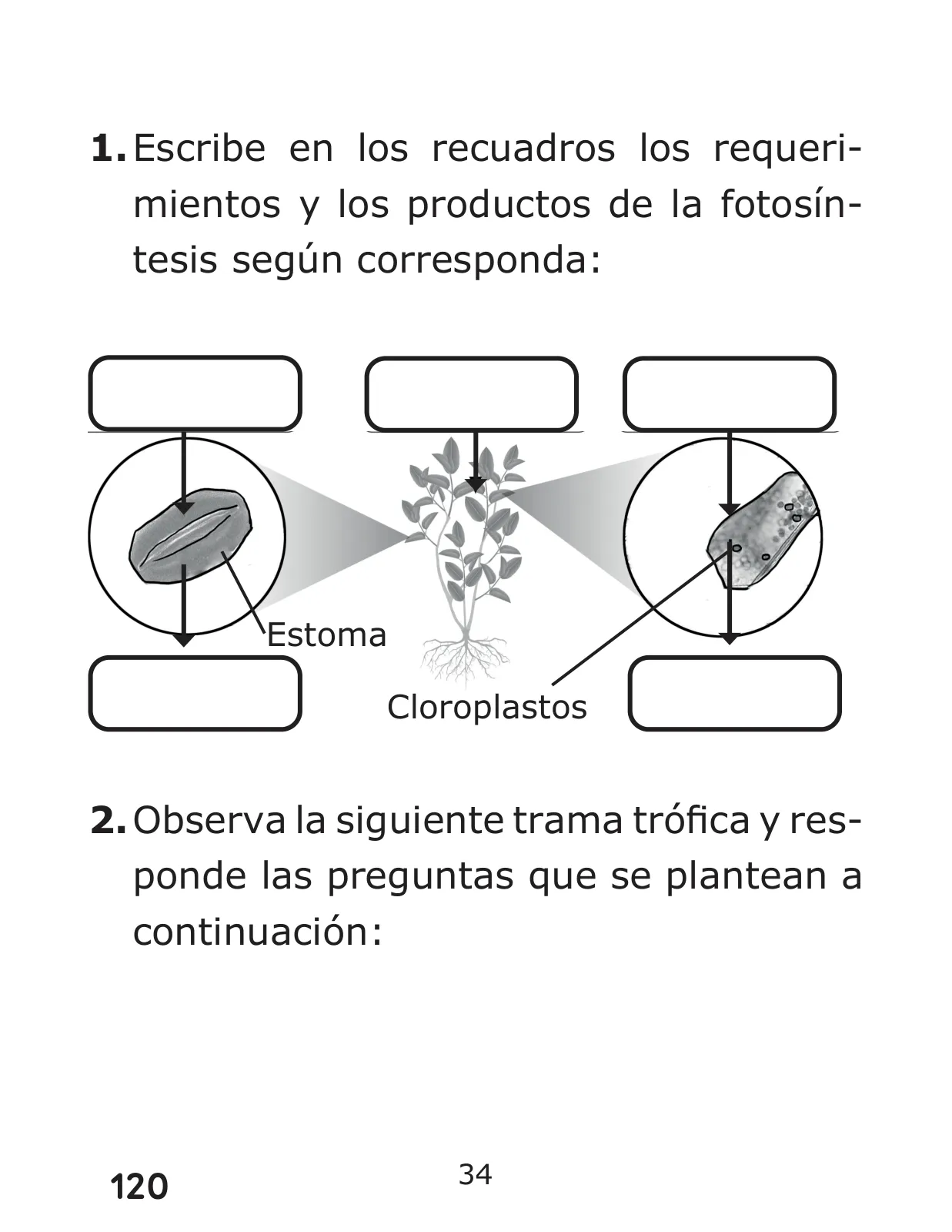 Página 120 de Libro de Ciencias Naturales – Quinto Básico | Texto del Estudiante MINEDUC – Descargar PDF · 2024