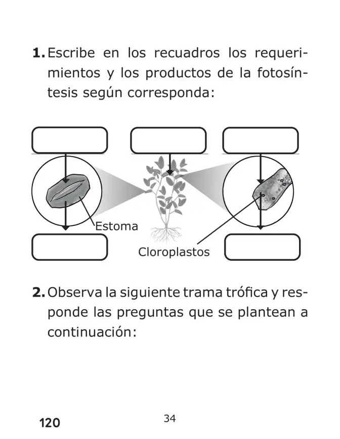 Página 120 de Libro de Ciencias Naturales – Quinto Básico | Texto del Estudiante MINEDUC – Descargar PDF · 2024