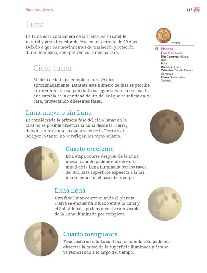 Página 138 de Nuestros saberes: Libro para alumnos, maestros y familia. Libro de Educación Primaria Grado 4° Ciclo Escolar 2025 - 2026